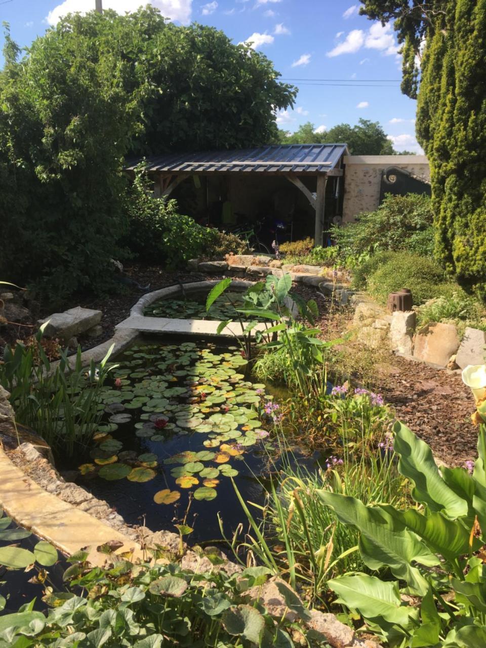 Maison D'Hotes Les Rainettes Breuillet  Bagian luar foto